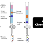 Column Chromatography - Procedure, Instruments, Application, Advantages