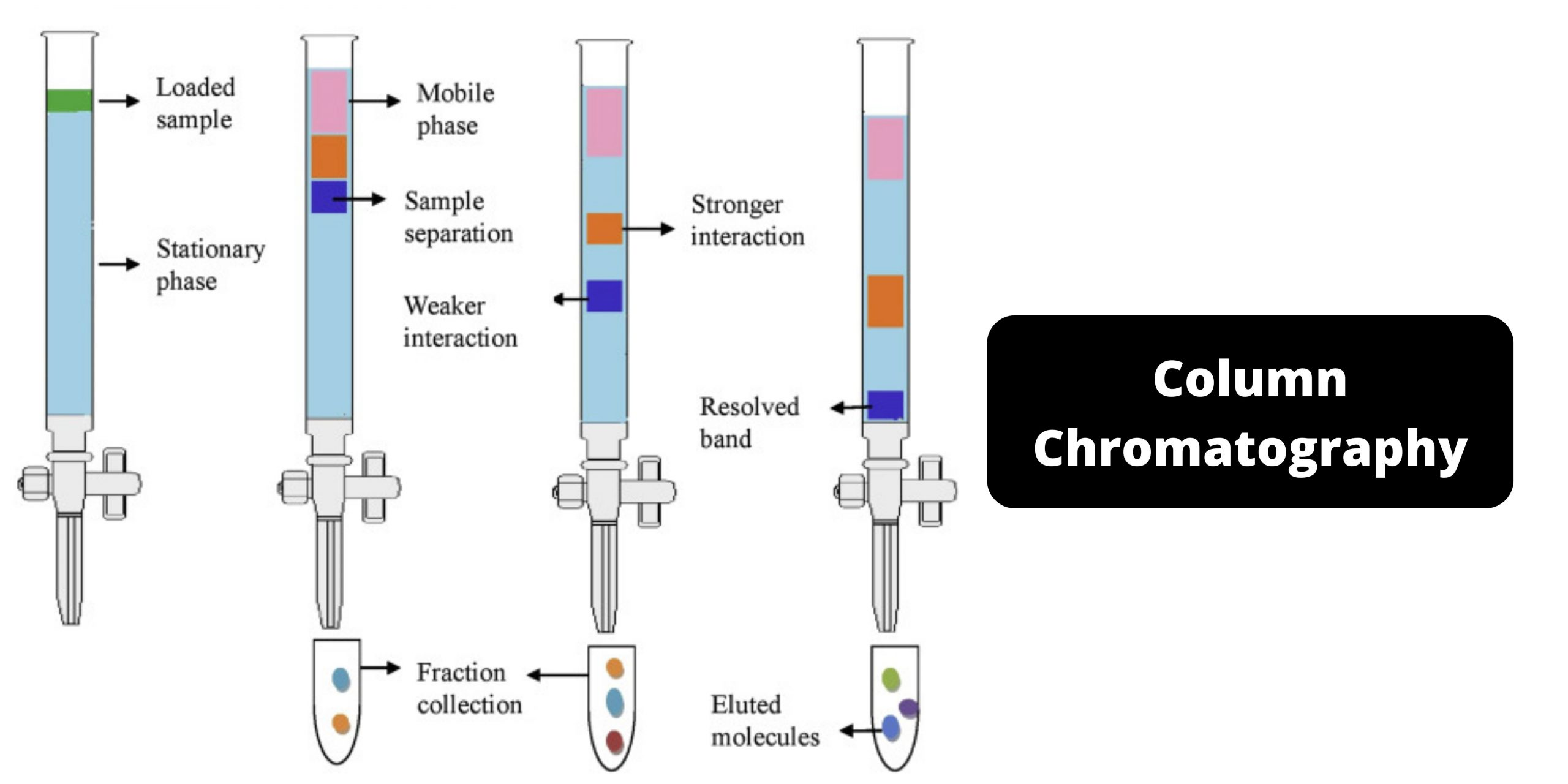 Column Chromatography - Procedure, Instruments, Application, Advantages