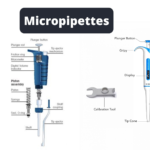 Micropipettes – Parts, Types, Applications, Techniques