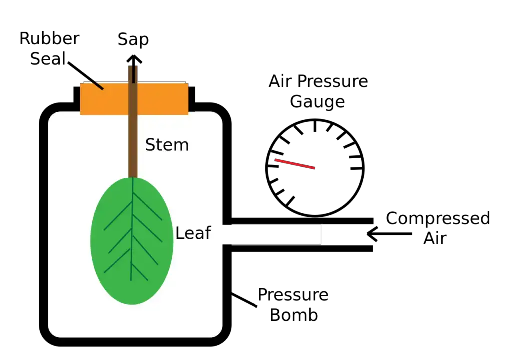 Diagram of a pressure bomb