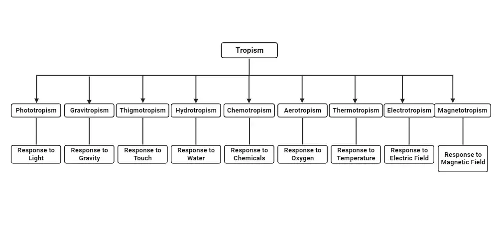 Types of Tropism
