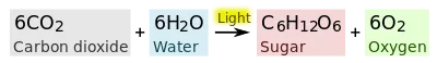 Photosynthesis equations/reactions/formula 