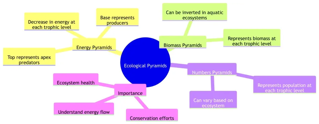 Ecological Pyramids - Definition, Types, Examples, Importance, Limitations 9 Ecological Pyramids Mindmap