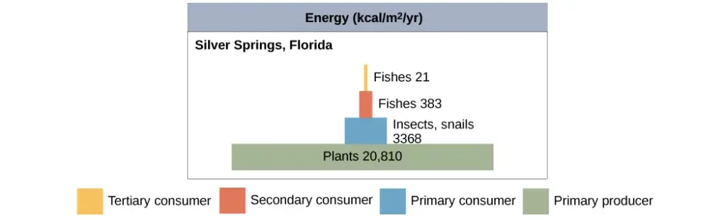 Energy pyramids |