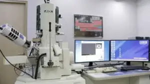Electron Microscope – Principle, Types, Parts, Application, Diagram
