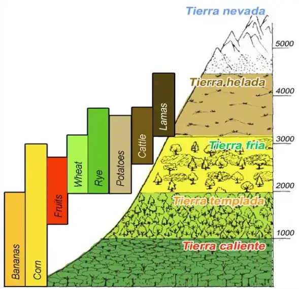 A mountain depicting a Horizontal Zonation
