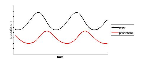 Harmonic motion of prey-predator system
