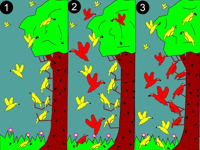 1: A smaller (yellow) species of bird forages across the whole tree.
2: A larger (red) species competes for resources.
3: Red dominates in the middle for the more abundant resources. Yellow adapts to a new niche restricted to the top and bottom and avoiding competition.