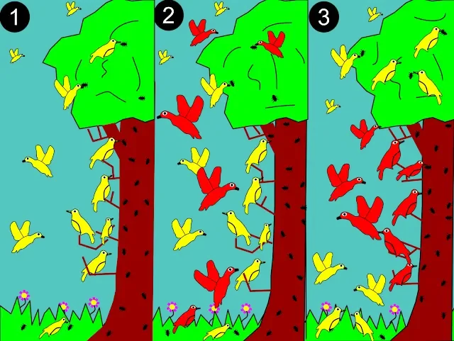 1: A smaller (yellow) species of bird forages across the whole tree.
2: A larger (red) species competes for resources.
3: Red dominates in the middle for the more abundant resources. Yellow adapts to a new niche restricted to the top and bottom and avoiding competition.