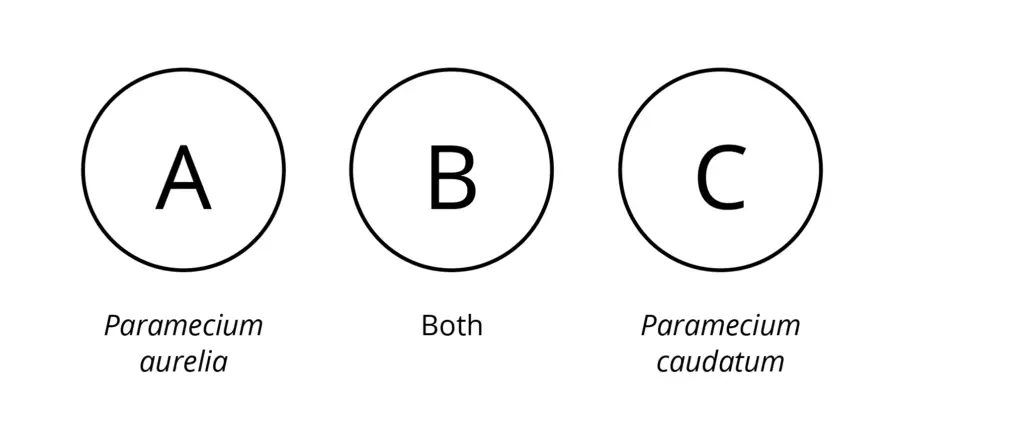 Method – Student Activity
