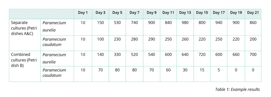 Example Results
