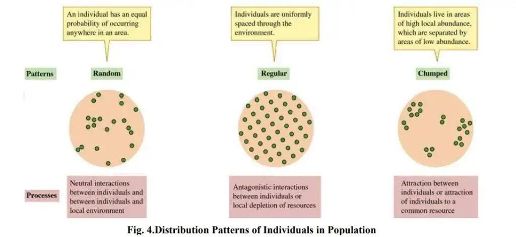 Population - Definition, Characteristics, Growth, Regulation, Types ...