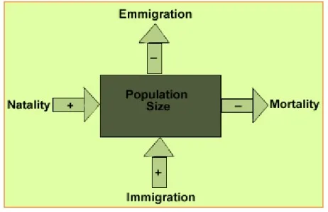 Influence of natality, immigration, mortality and emigration on population.
