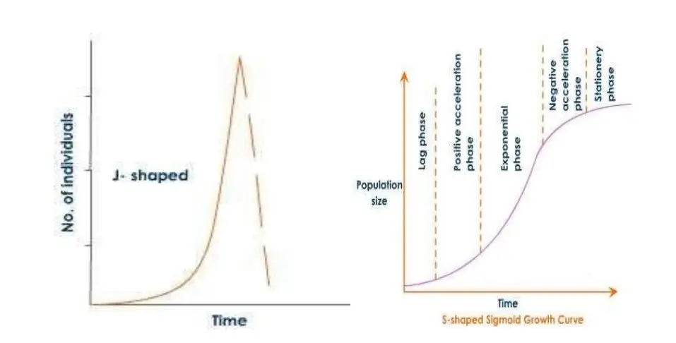 J&S shaped curves of Polution
