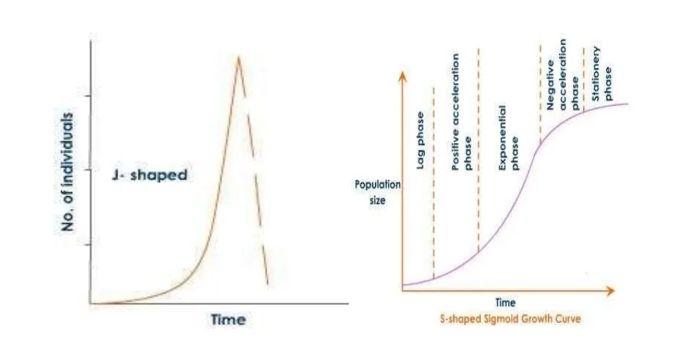 J&S shaped curves of Polution
