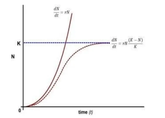 Comparative expression of r & K selected population’s growth
