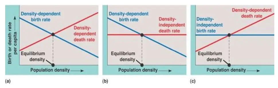 Density- dependent regulation of birth rate and death rate. a) both the rates are density dependent and equilibrium is achieved when both the rates equate to each other. b) birth rate is density dependent and declines as density increases. c) death rate is density dependent and increases as density increases.
