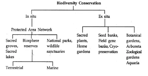 The in-situ and ex-situ biodiversity conservation in India
