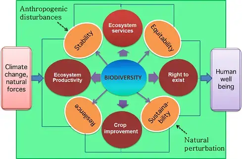 Strategies for conserving biodiversity
