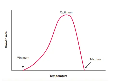 Effect of Temperature on Bacterial Growth