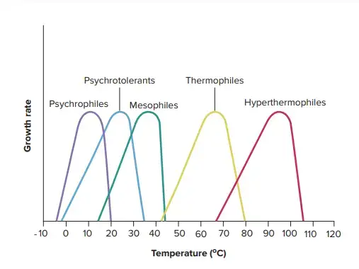 Temperature Ranges for bacterial Growth. | Microorganisms are placed in different classes based on their temperature ranges for growth. They are ranked in order of increasing growth temperature range as psychrophiles, psychrotolerants, mesophiles, thermophiles, and hyperthermophiles. Representative ranges and optima for these five types are illustrated.