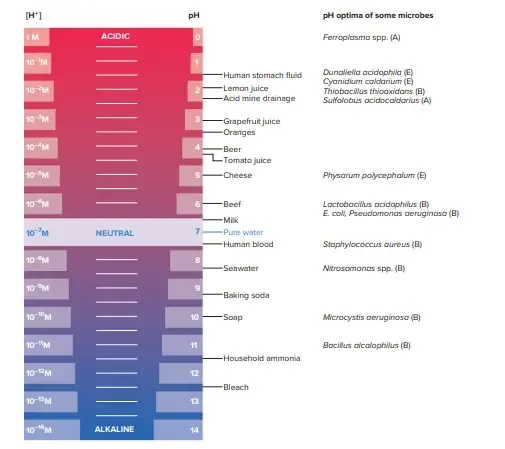 Bacterial Growth and Different Environmental Factors Affect Bacterial Growth 4 The pH Scale for Bacterial Growth