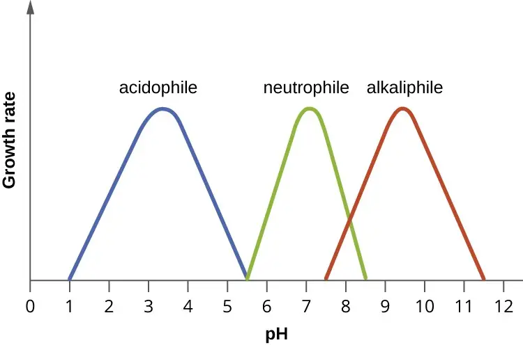affect of ph concentration bacterial growth