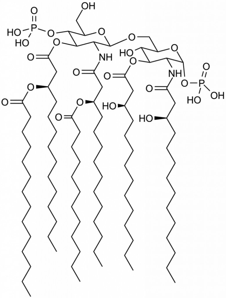 Lipid A