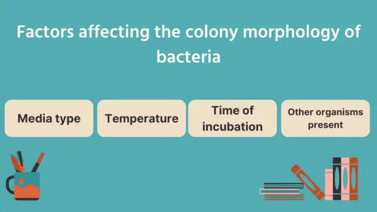 Colony Morphology of Bacteria and Examples - Biology Notes Online