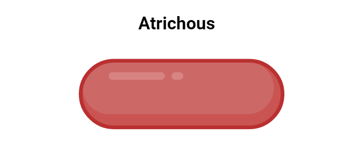 Flagella - Definition, Structure, Types, Functions, Rotation, Examples ...