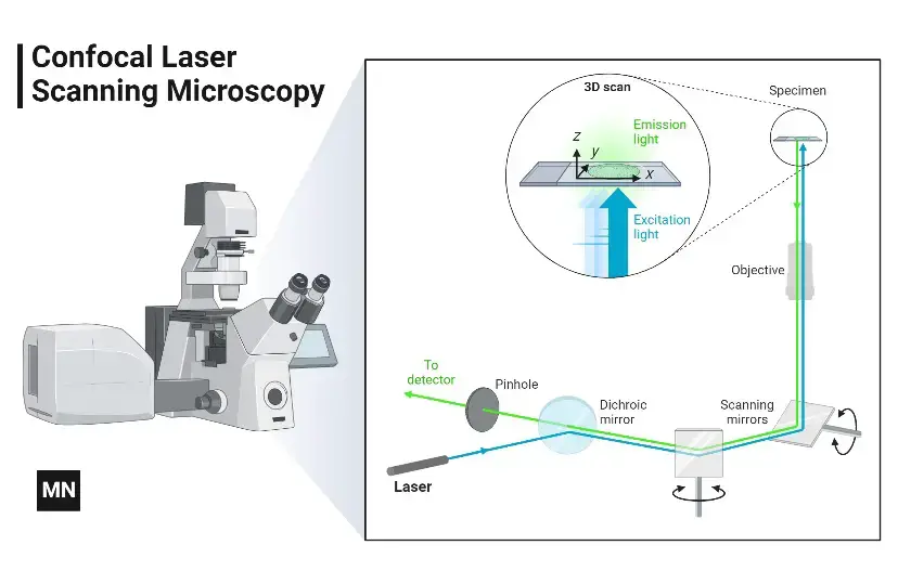 Principle of Confocal Microscope
