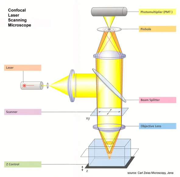 Mechanism of Confocal Microscope