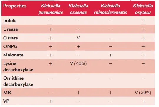 Important properties used for differentiation of Klebsiella species