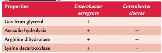 Differentiation of Enterobacter species