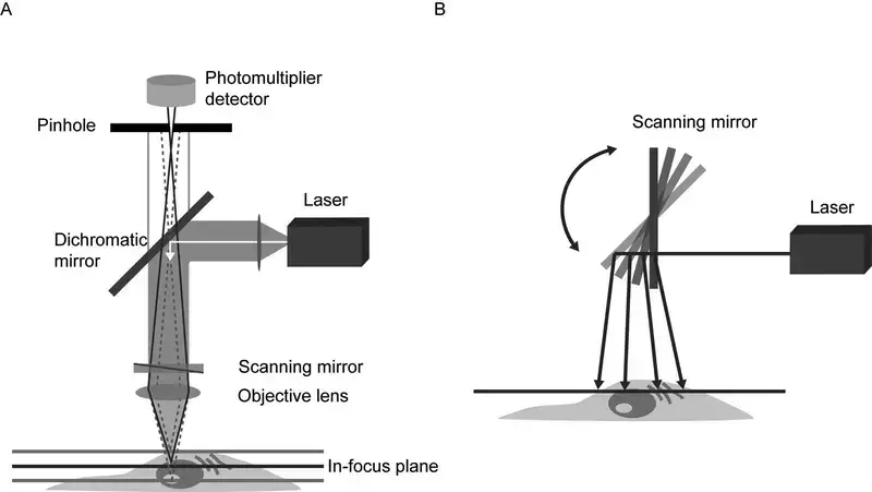 Confocal Microscope - Principle, Parts, Uses - Biology Notes Online