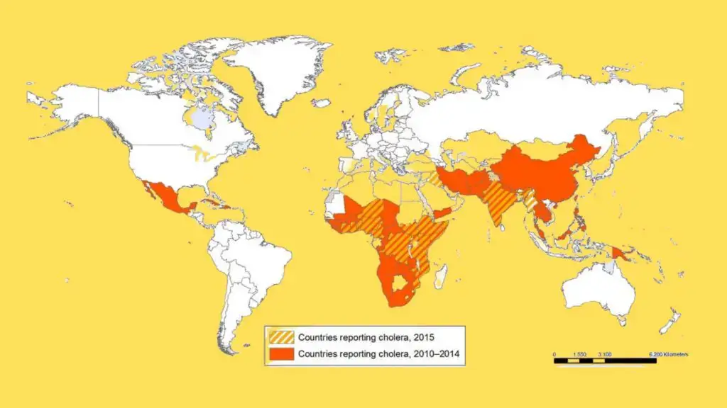 Epidemiology of Vibrio cholerae Food Poisoning 