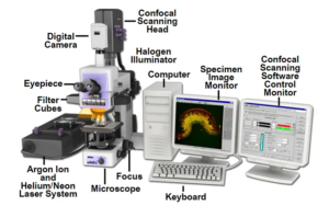 Confocal Microscope - Principle, Parts, Uses - Biology Notes Online