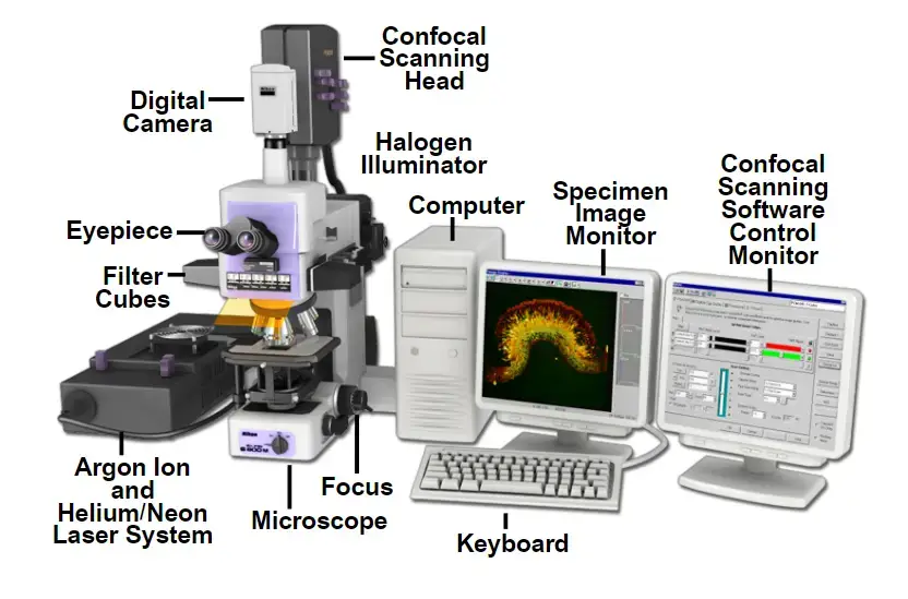 Nikon Laser Scanning Confocal Microscope Configuration 