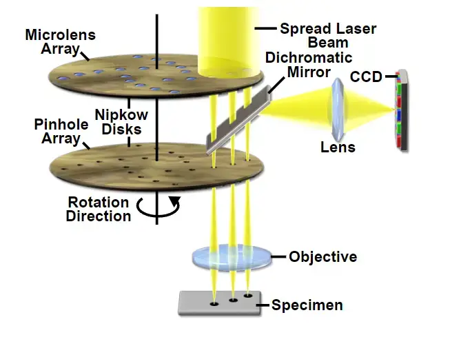 Nipkow Disk Optical Configuration 