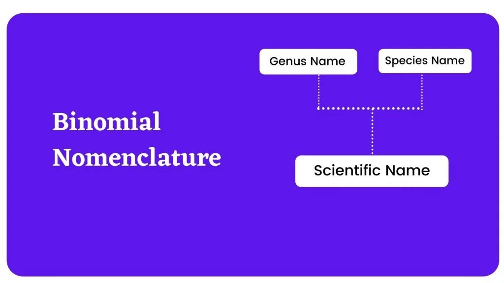 Binomial Nomenclature