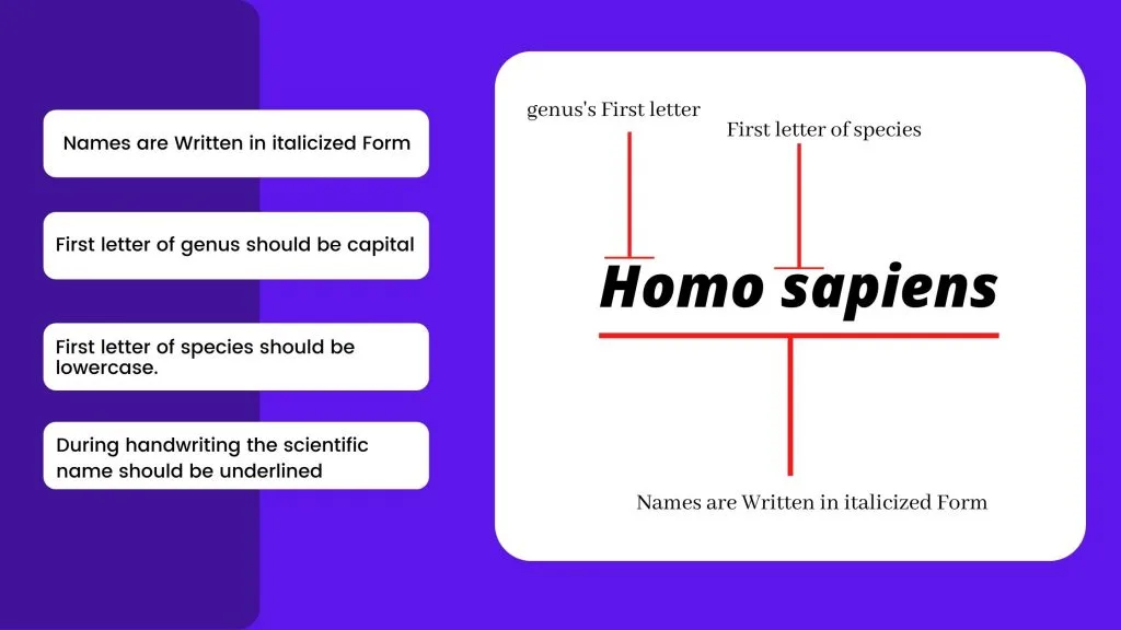 Binomial Nomenclature