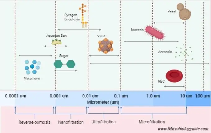 Types of membrane filter 