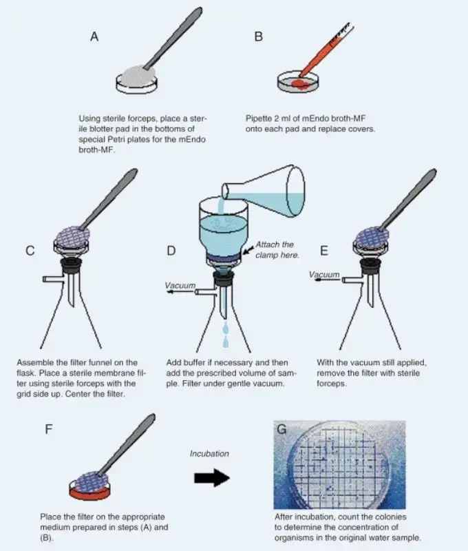 membrane filter diagram