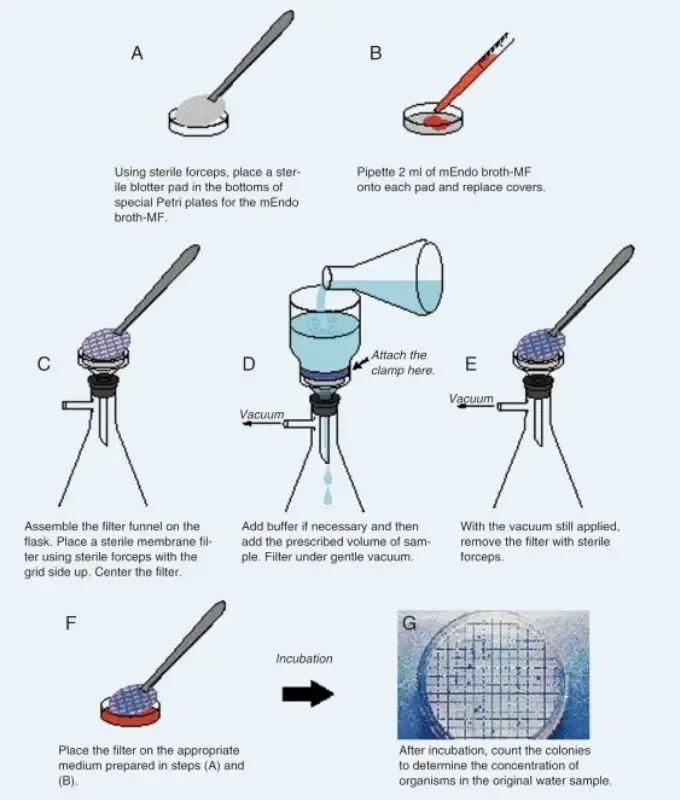 Membrane Filtration Method - Types, Advantages, Disadvantages, Applications 7 membrane filter diagram