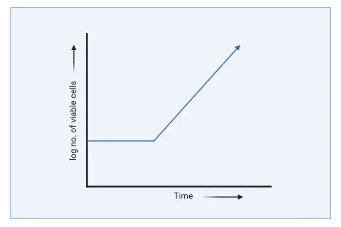 Continuous Culture graph