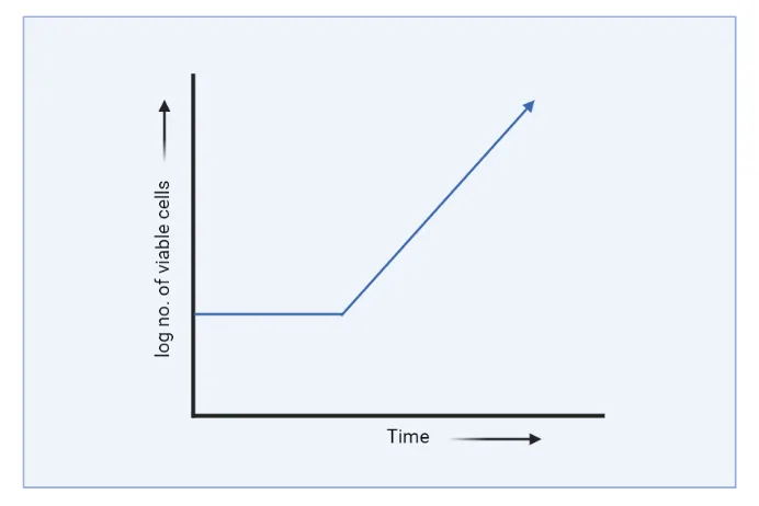 Continuous Culture - Definition, Advantage, Application, Systems 1 Continuous Culture graph