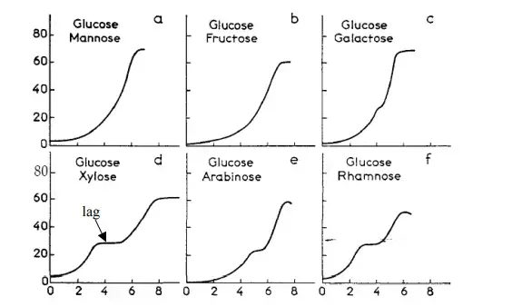 Diauxic Growth Curve - Definition, Occurrence - Biology Notes Online