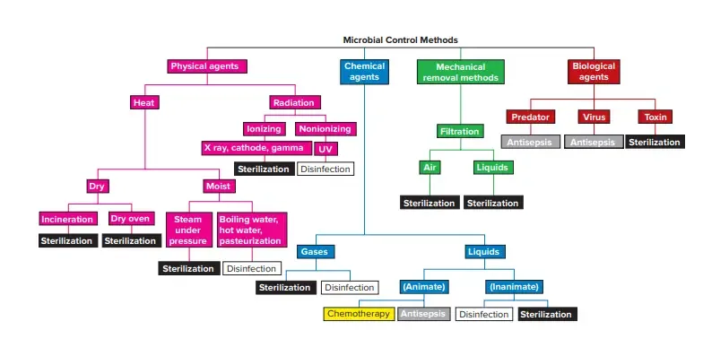 Microbial Control Methods 1 Microbial Control Methods chart