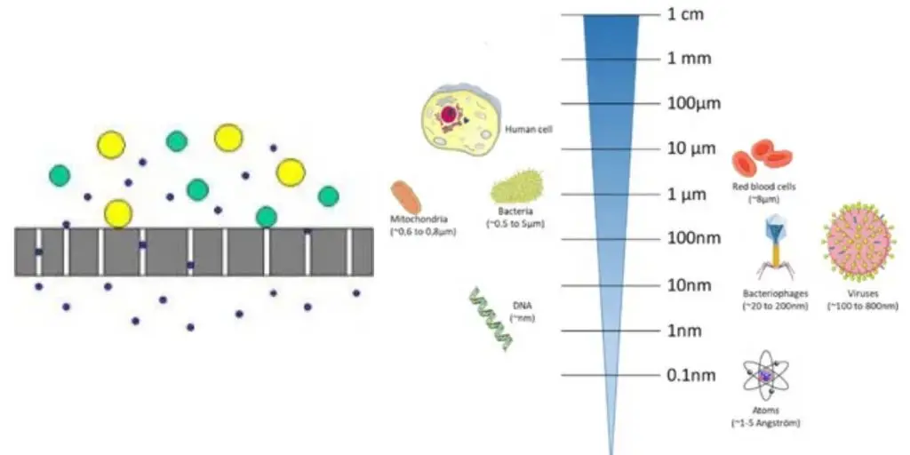 Filtration Sterilization 