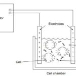 Electroporator – Definition, Principle, Types, Protocol, Applications